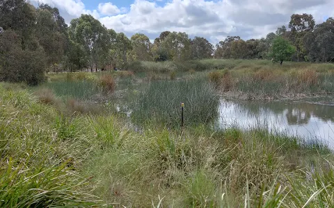 Trin Warren Tam-Boore Bellbird Waterhole image