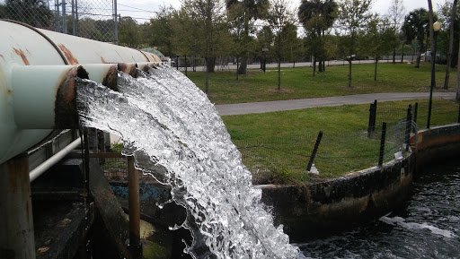 Public Swimming Pool «Sulphur Springs Pool», reviews and photos, 701 E Bird St, Tampa, FL 33604, USA