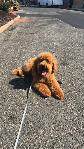 Pet Supply Store «PetSmart», reviews and photos, 310 NJ-36, West Long Branch, NJ 07764, USA