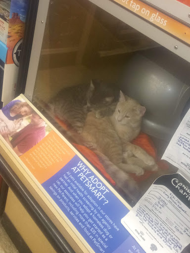 Pet Supply Store «PetSmart», reviews and photos, 248 Westminster Dr, Carlisle, PA 17013, USA