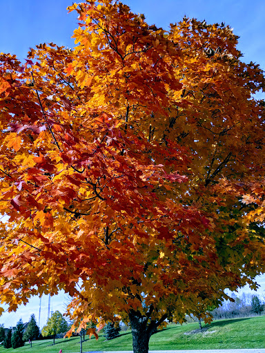 Park «Heritage Oaks Park», reviews and photos, 310 N Fairfield Rd, Hawthorn Woods, IL 60047, USA