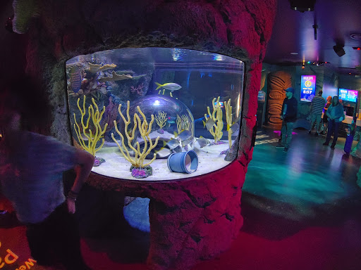 Aquarium «SEA LIFE Orlando Aquarium», reviews and photos, 8449 International Dr, Orlando, FL 32819, USA