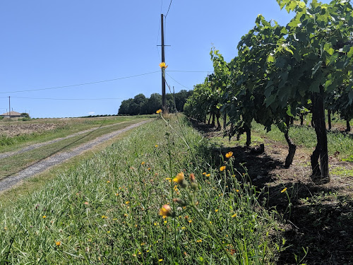 Piaud Christophe à Saint-Ciers-Champagne