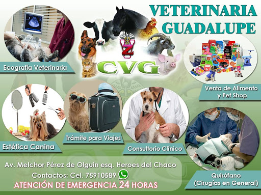 Veterinaria Guadalupe
