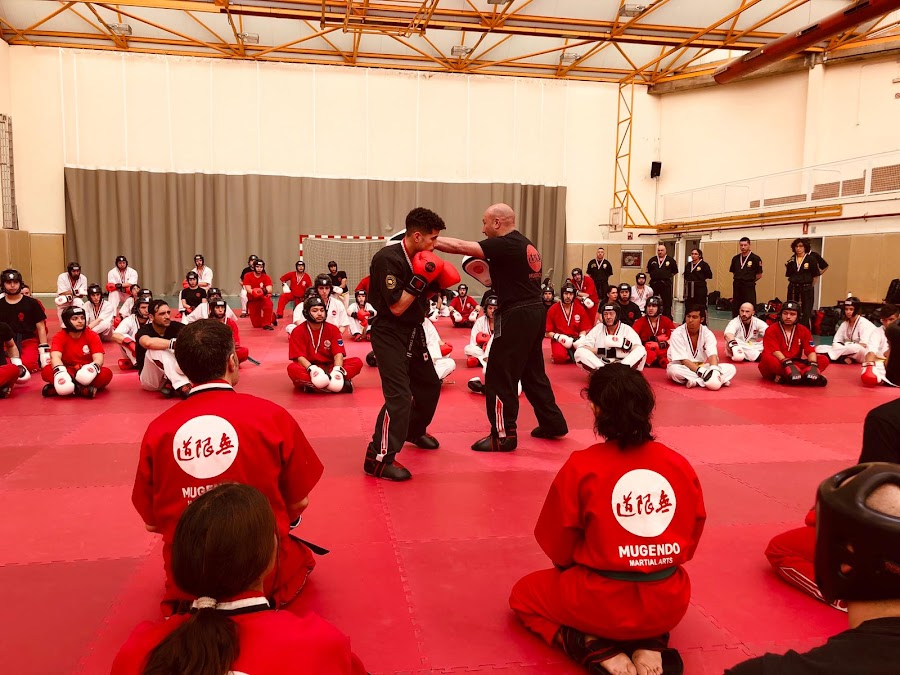 Artes Marciales Sant Boi - Mugendo