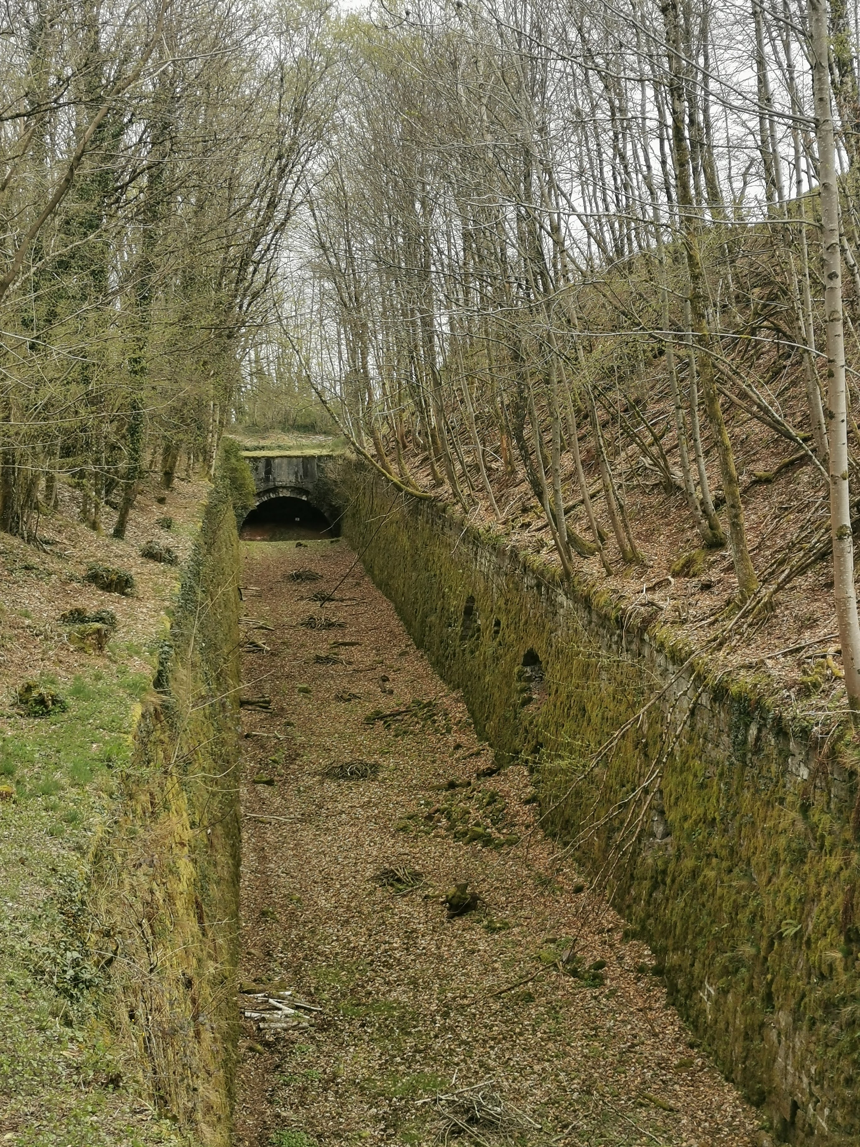 Photo n° 9 de l'avis de Hemery.a fait le 05/04/2022 à 20:06