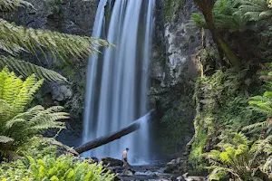 Hopetoun Falls image