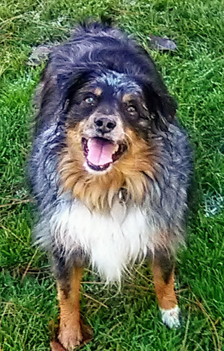 Park «Cowen Park», reviews and photos, 5849 15th Ave NE, Seattle, WA 98105, USA