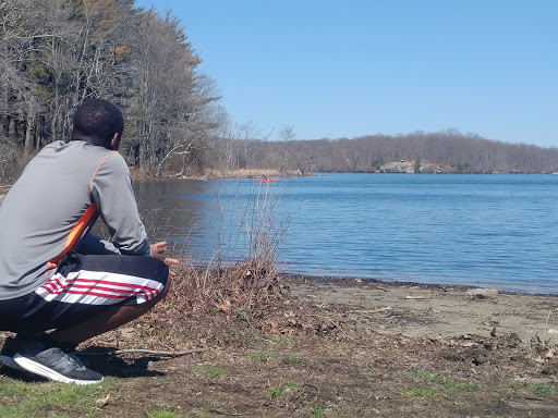 State Park «Lincoln Woods State Park», reviews and photos, 2 Manchester Print Works Rd, Lincoln, RI 02865, USA