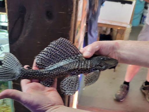 Tropical Fish Store «Emmons Tropical Fish & Ponds», reviews and photos, 1612 Hopmeadow St, Simsbury, CT 06070, USA