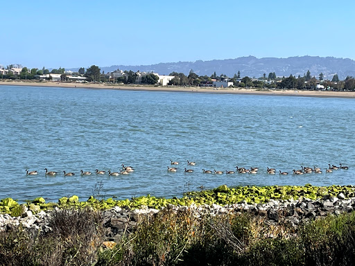 Gym «Harbor Bay Club», reviews and photos, 200 Packet Landing Rd, Alameda, CA 94502, USA