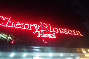 Cherry Jakarta Hotel Karaoke Lounge & Bar image