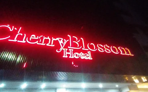 Cherry Jakarta Hotel Karaoke Lounge & Bar image