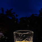 Photo n°5 de l'avis de Roland.o fait le 14/08/2023 à 14:00 sur le  HOSTARIA AL BUONGUSTO à Limone sul Garda