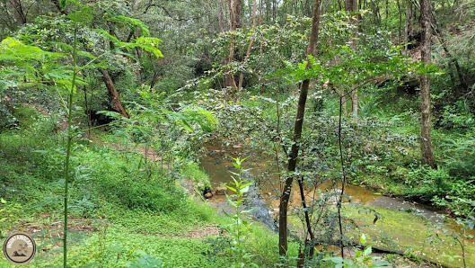 Laptop Repair Service Emu Plains NSW