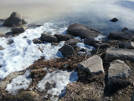 Park «Ruedisale Point Park», reviews and photos, 50400 Ruedisale St, New Baltimore, MI 48047, USA