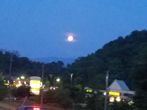 Supermarket «Food City», reviews and photos, 1921 TN-394, Blountville, TN 37617, USA