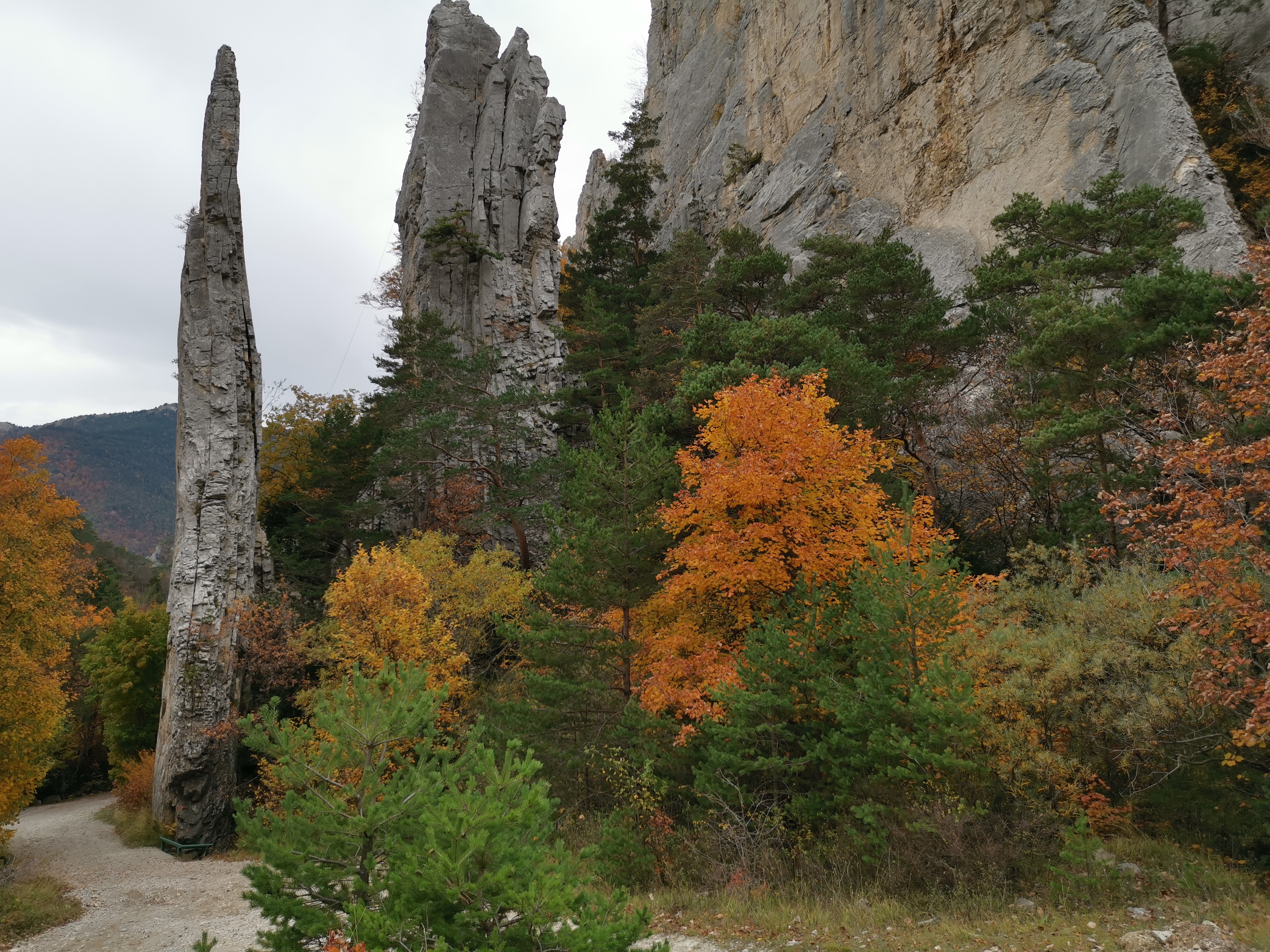 Photo n° 1 de l'avis de Buliard.a fait le 01/11/2019 à 13:49