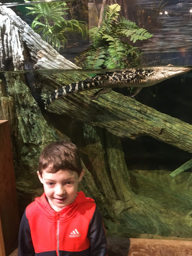 Aquarium «The River Center», reviews and photos, 805 US-1, Jupiter, FL 33477, USA