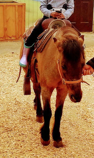 Childrens Farm «Best Long Island Pumpkin Picking», reviews and photos, 250 Old Country Rd, Melville, NY 11747, USA