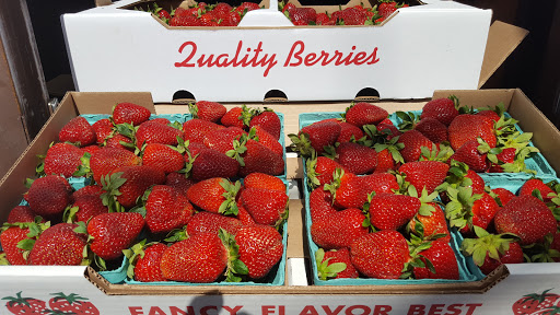 Supermarket «Pennington Quality Market», reviews and photos, 25 NJ-31, Pennington, NJ 08534, USA