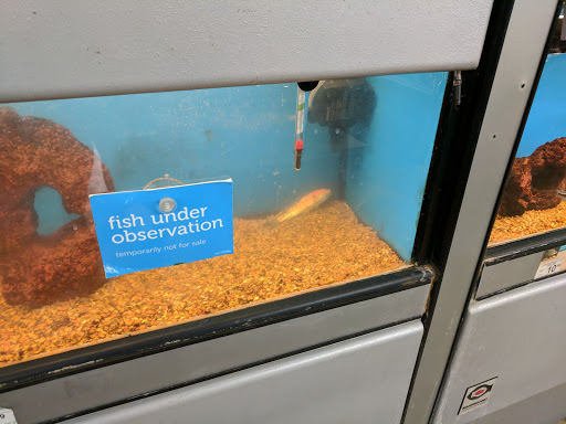 Pet Supply Store «Petco Animal Supplies», reviews and photos, 200 McMahan Blvd, Marion, OH 43302, USA