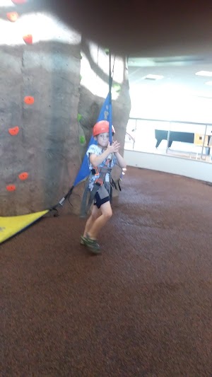 RecPlex - photo 19