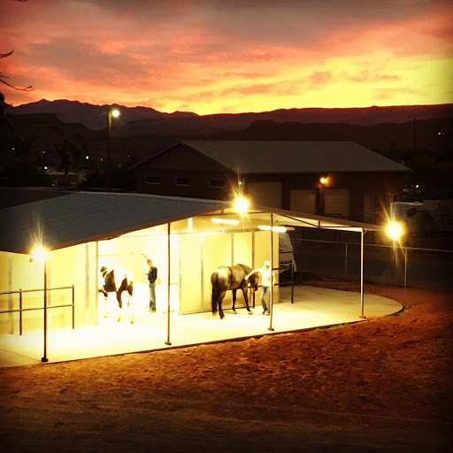 LB Equine Sports Medicine image