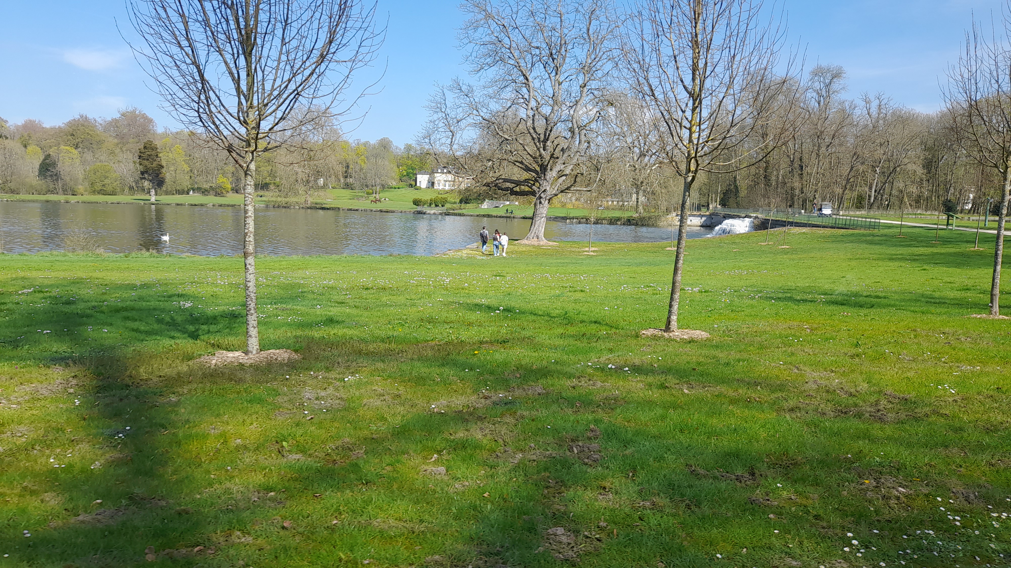 Photo n° 23 de l'avis de Nico. fait le 09/04/2023 à 16:55