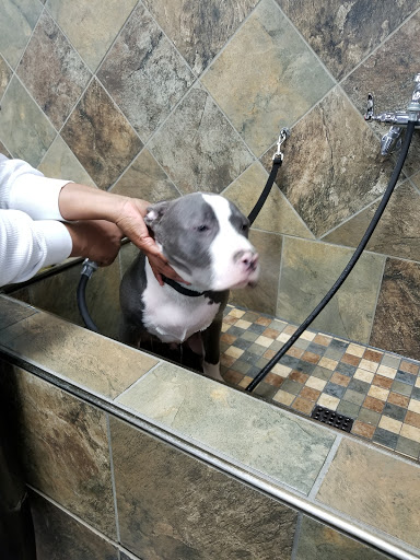 Pet Supply Store «Pet Valu», reviews and photos, 1601 Willow Lawn Dr #301C, Richmond, VA 23230, USA