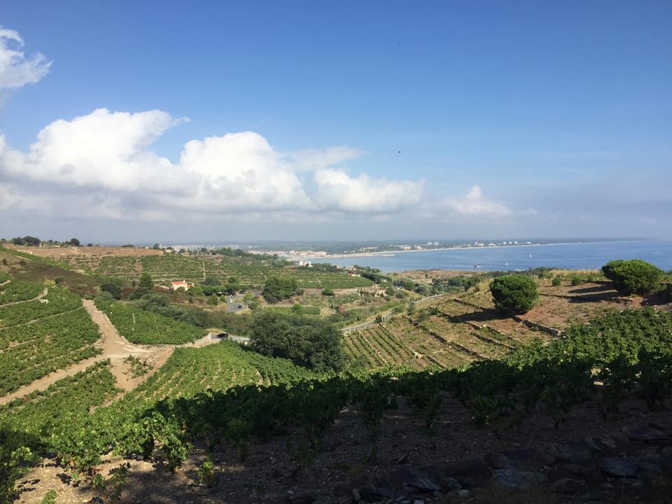 Photo n° 15 de l'avis de vinotour.o fait le 05/12/2016 à 17:36