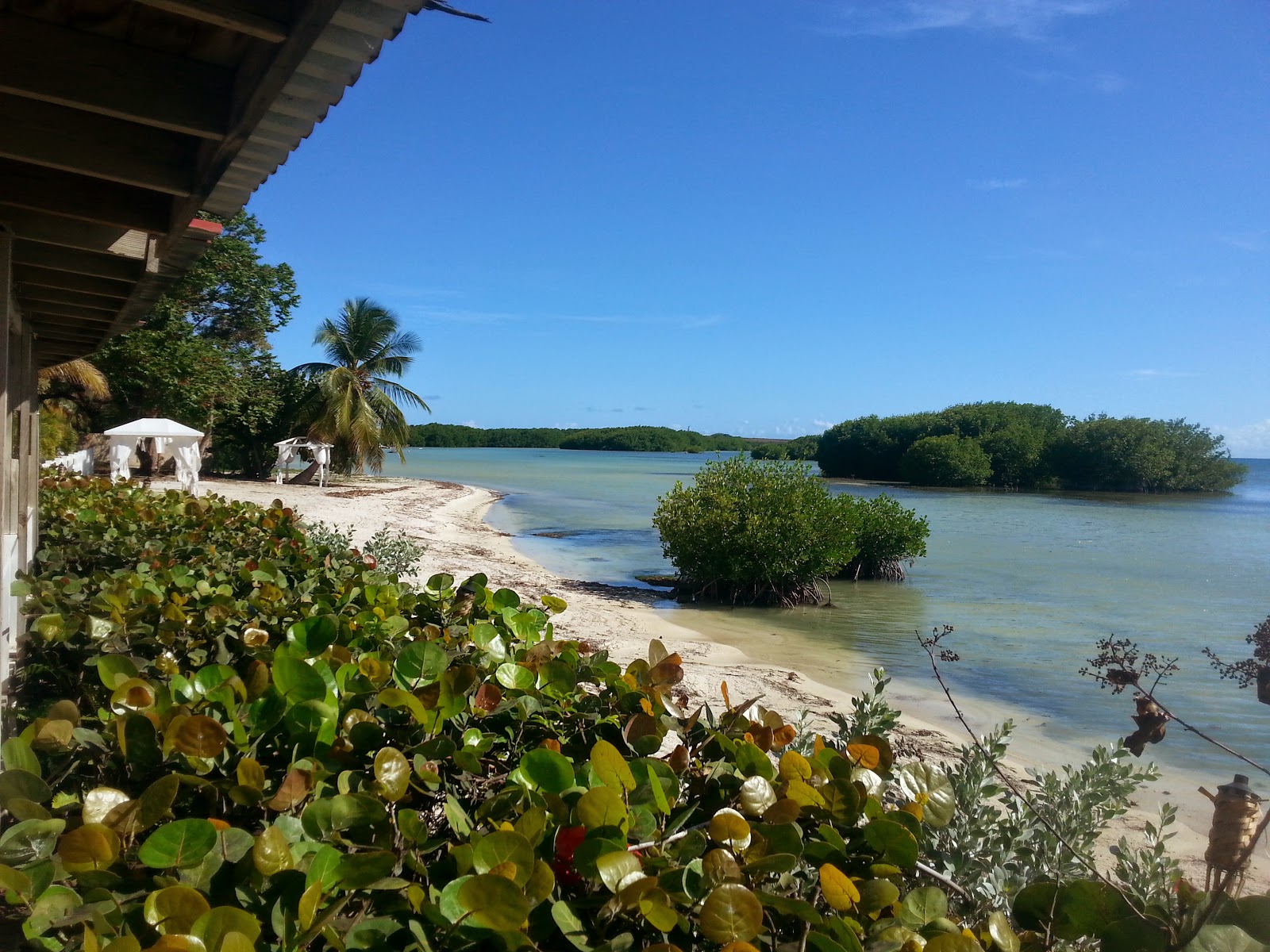 Playa Salinas的照片 带有长直海岸