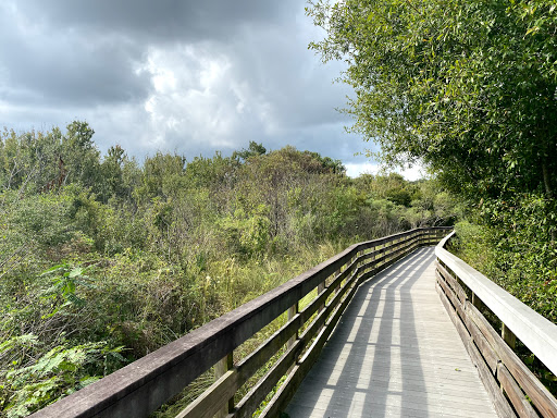 Park «Kapok Park», reviews and photos, 2950 Glen Oak Ave N, Clearwater, FL 33759, USA