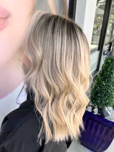 Beauty Salon «Monaco Salon», reviews and photos, 143 S Dale Mabry Hwy, Tampa, FL 33609, USA