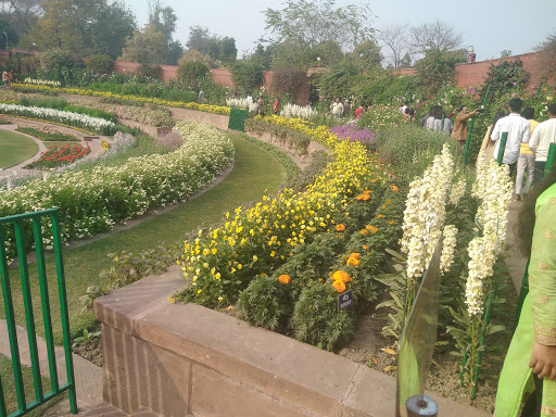 Delhi University Mughal Garden