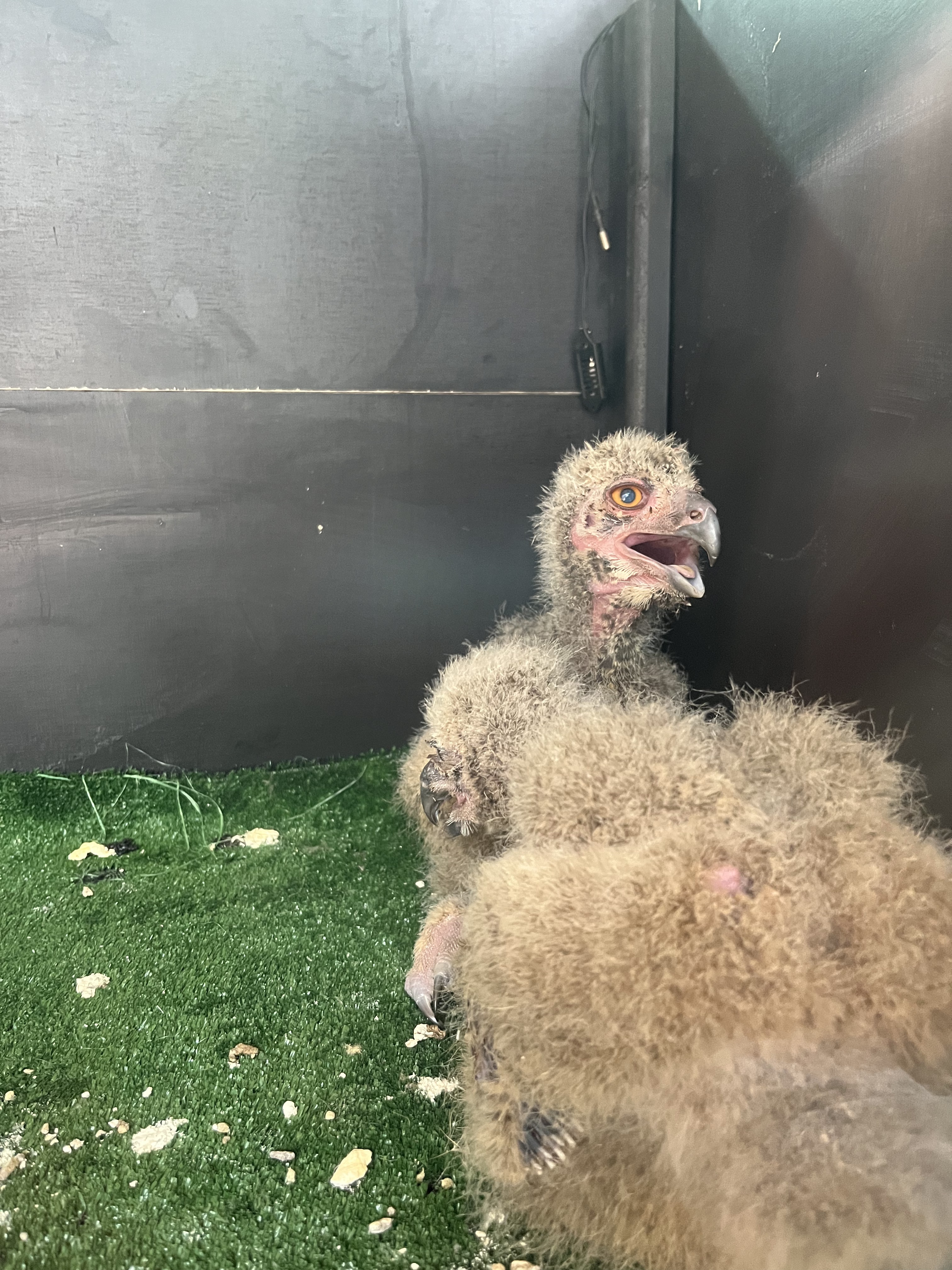 Photo n° 4 de l'avis de Rcdgns. fait le 13/05/2023 à 20:31