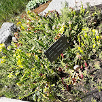 Photo n° 20 de l'avis de Céline.u fait le 21/08/2020 à 06:49 pour Jardin des Fontaines Pétrifiantes à La Sône