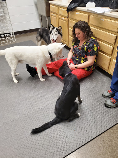 RAAM Mobile Veterinary Care image