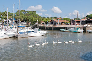 Photo n°3 de Port d'Audenge à Audenge ()