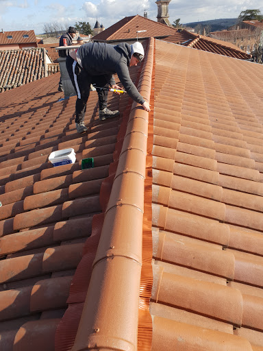 Muntz Rénovation: Couvreur, nettoyage démoussage réparation de toiture, recherche de fuites, entreprise travaux couverture Colomiers Blagnac Balma L'Union Haute-Garonne 31