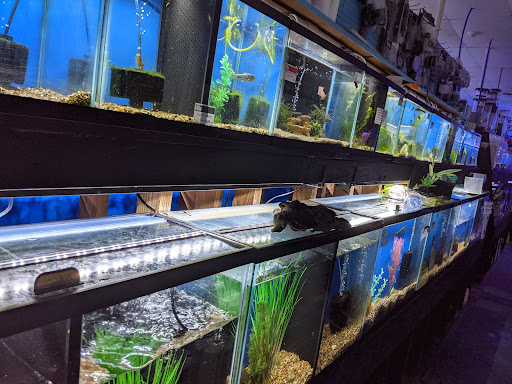 Pet Store «Pet Paradise», reviews and photos, 307 Kellam Rd, Virginia Beach, VA 23462, USA