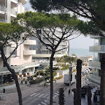 Photo n°1 de l'avis de Alin.o fait le 09/02/2022 à 11:57 sur le  Milano Marittima à Cervia