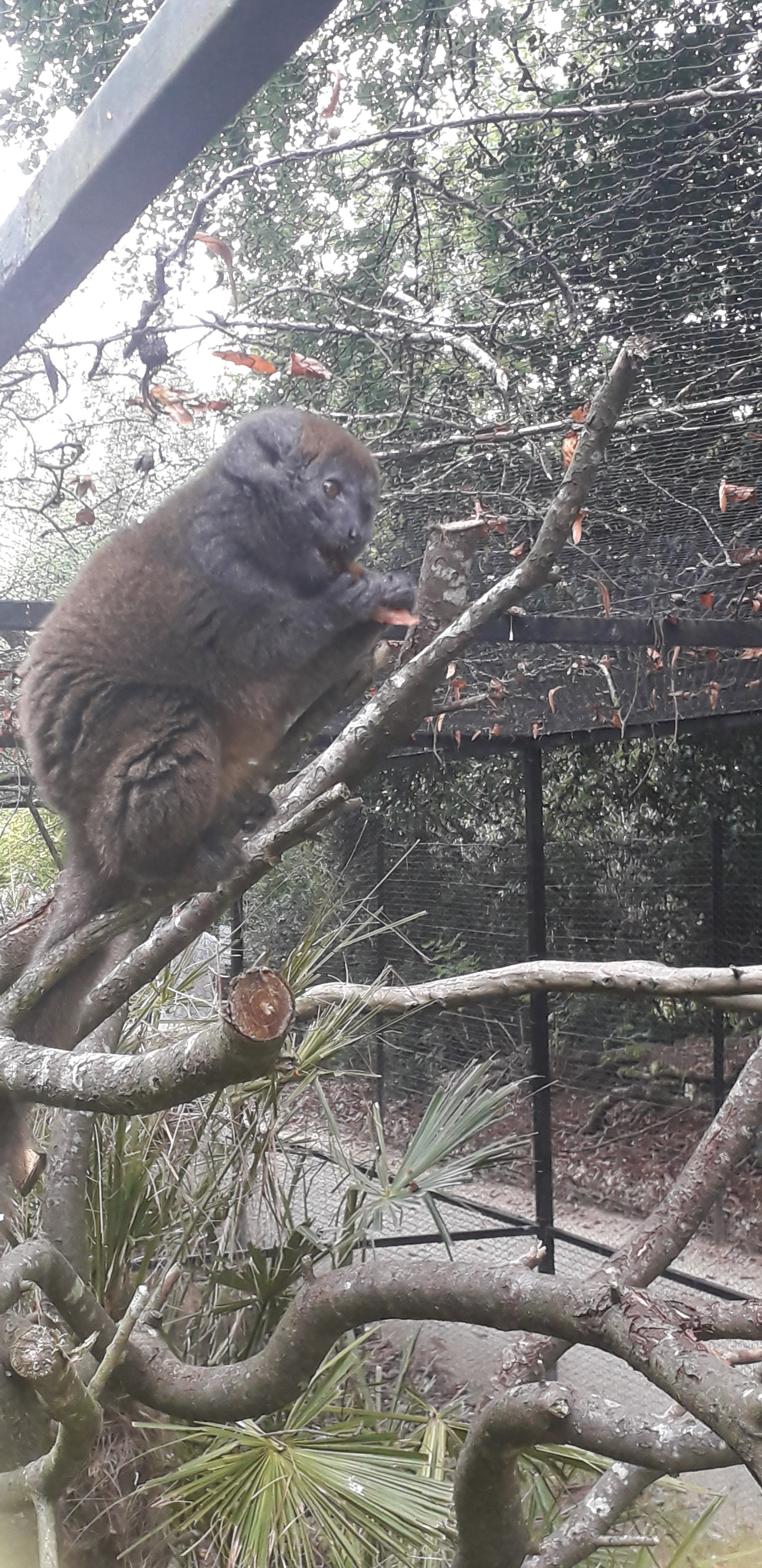 Photo n° 45 de l'avis de lilou.i fait le 19/09/2020 à 16:48