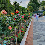 Photo n°5 de l'avis de Hubert.t fait le 17/05/2022 à 20:43 sur le  Villa Paradiso Suite à Moniga del Garda