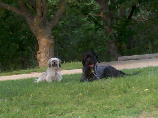 Charlie's Angels Pet Center