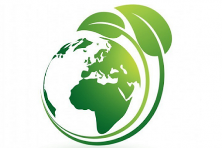 Eco Friendly Cleaning Llc. 