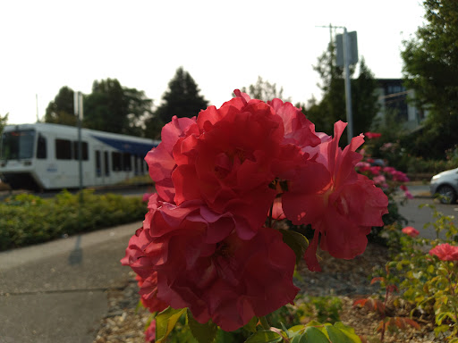 Wedding Chapel «Victorian Belle», reviews and photos, 1441 N McClellan St, Portland, OR 97217, USA