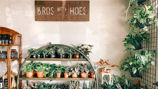 Bros with Hoes Plant Co