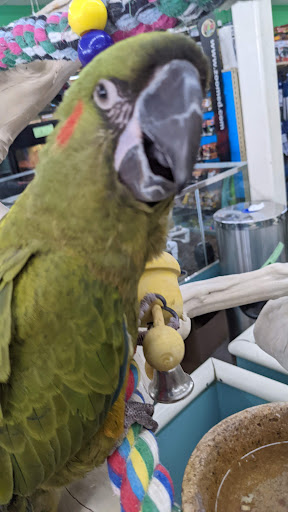 Pet Store «Leesburg Pet Center», reviews and photos, 959 N 14th St, Leesburg, FL 34748, USA