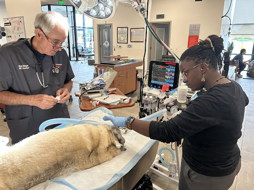 Veterinary Emergency Group image